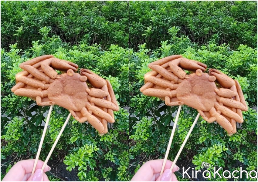 KADOKADO雞蛋糕/ KiraKacha去啦！