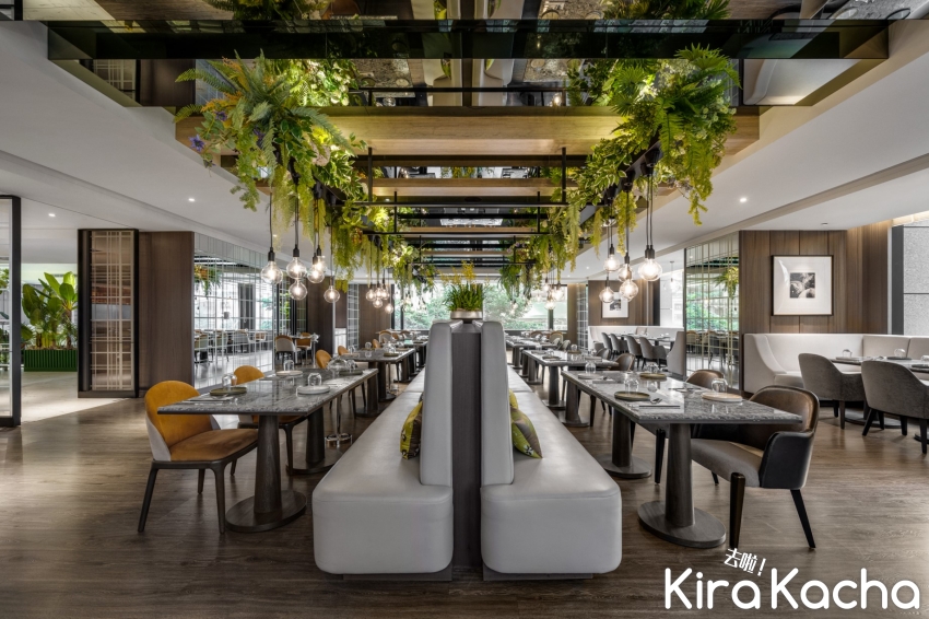 板橋凱撒Lotus蓮花泰式餐廳 / KiraKacha 去啦！