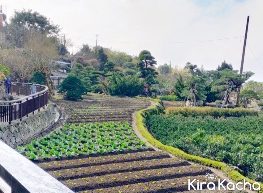 竹子湖休閒農業發展會 /Kirakacha 去啦！