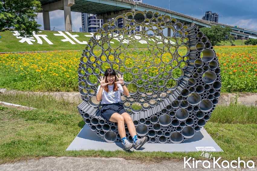 2023新北大都會公園花海