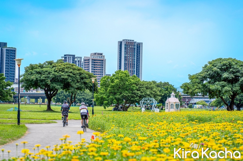 2023新北大都會公園花海