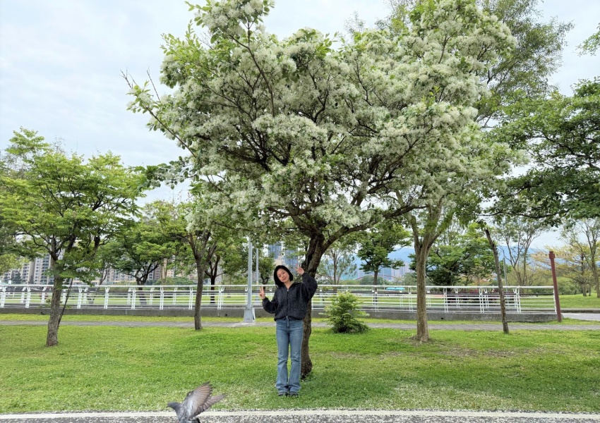 ▲圖片來源：新北高灘處 / 新店陽光運動公園超受歡迎的共融式遊戲場，各種特色遊具讓小朋友玩到不想回家