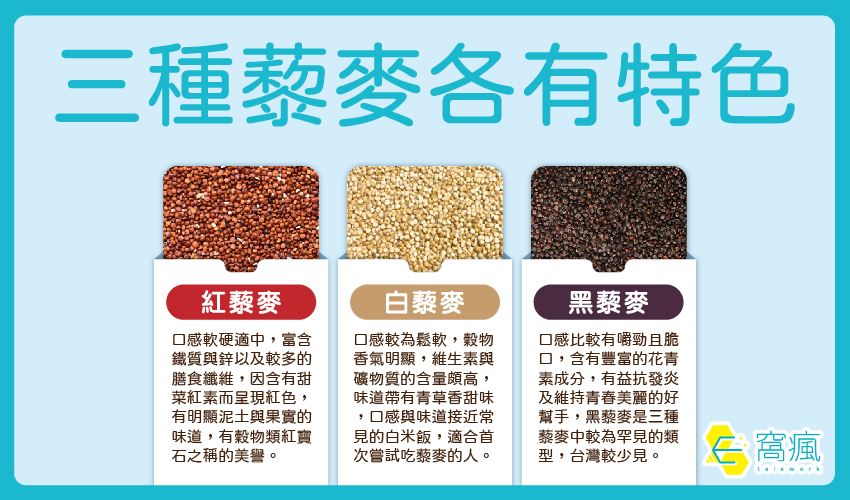 藜麥是什麼？三色藜麥營養差異解析，減肥健身族都愛吃的主食首選