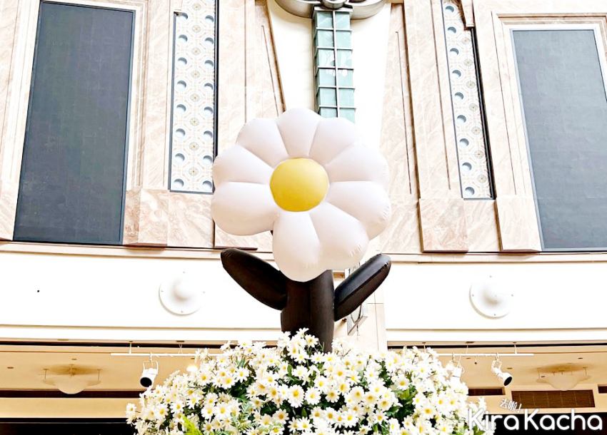 搶先拍雛菊！G-DRAGON《Übermensch》藝術展台北101登場，GD粉絲必看攻略與限量周邊解析