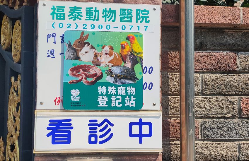 新北飼主必看「非犬貓寵物登記」開跑,限時前500名送300點新北幣再享寵物免費樹葬,一文看懂如何為你的鳥寶、兔子、特殊寵物打造專屬身分證