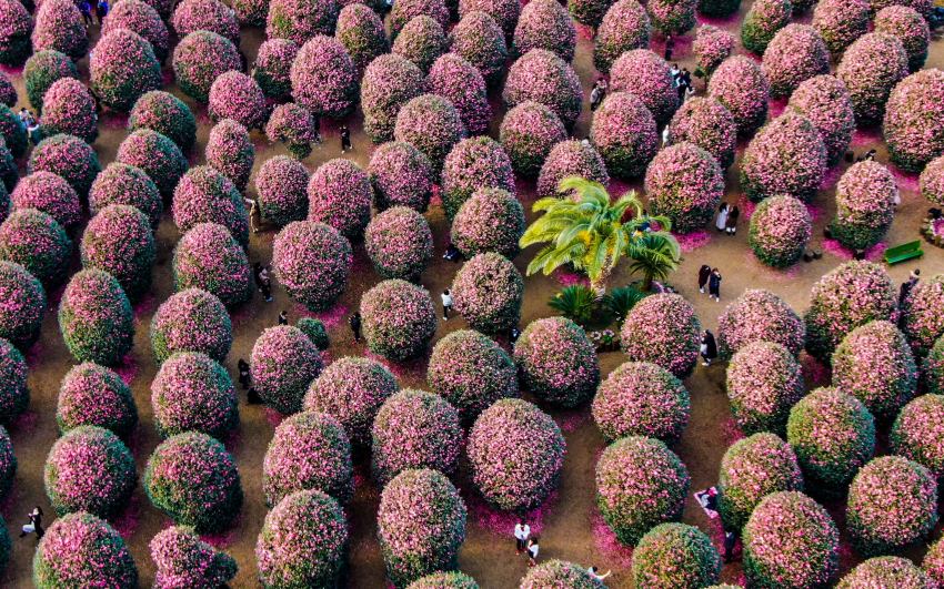 想規劃一趟最道地的韓國冬季旅行就看這！韓國觀光公社免費講座前進台中高雄，由釜山濟州觀光處長親自分享第一手冬季旅遊攻略與私房景點