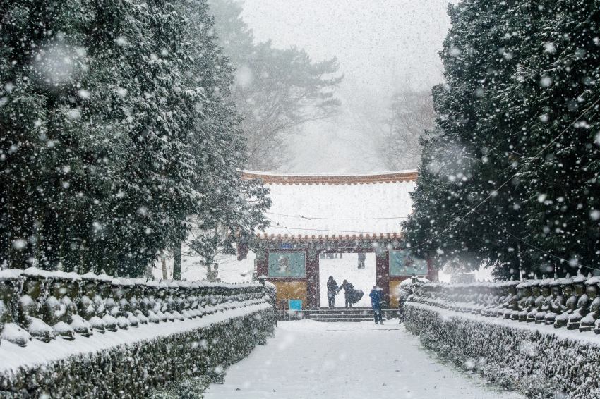 想規劃一趟最道地的韓國冬季旅行就看這！韓國觀光公社免費講座前進台中高雄，由釜山濟州觀光處長親自分享第一手冬季旅遊攻略與私房景點