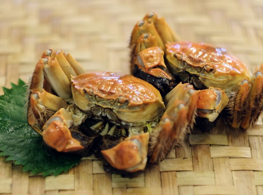 必收2025秋蟹攻略!盤點7間飯店秋季螃蟹饗宴,從豪邁沙公兩吃到北海道鱈場蟹火鍋與米其林法式創意料理一篇搞定