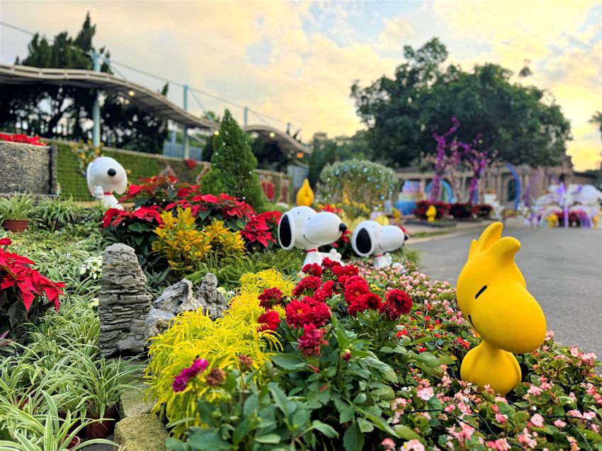 入夜後的園區點亮璀璨燈飾，搭配百年古蹟建築的獨特氛圍，將現場營造出如同童話故事般的夢幻場景。