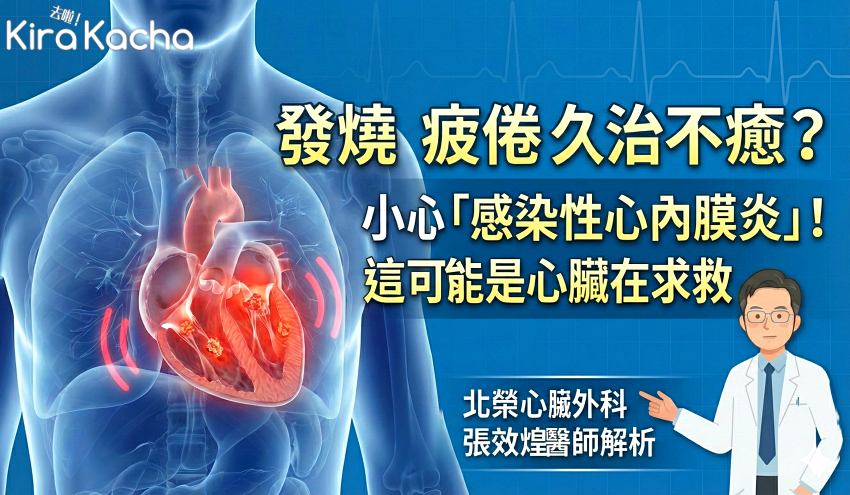 牙周病與免疫力低下族群需注意,張效煌醫師提醒細菌隨血液入侵心臟恐釀成感染性心內膜炎,落實口腔衛生是預防重要關鍵