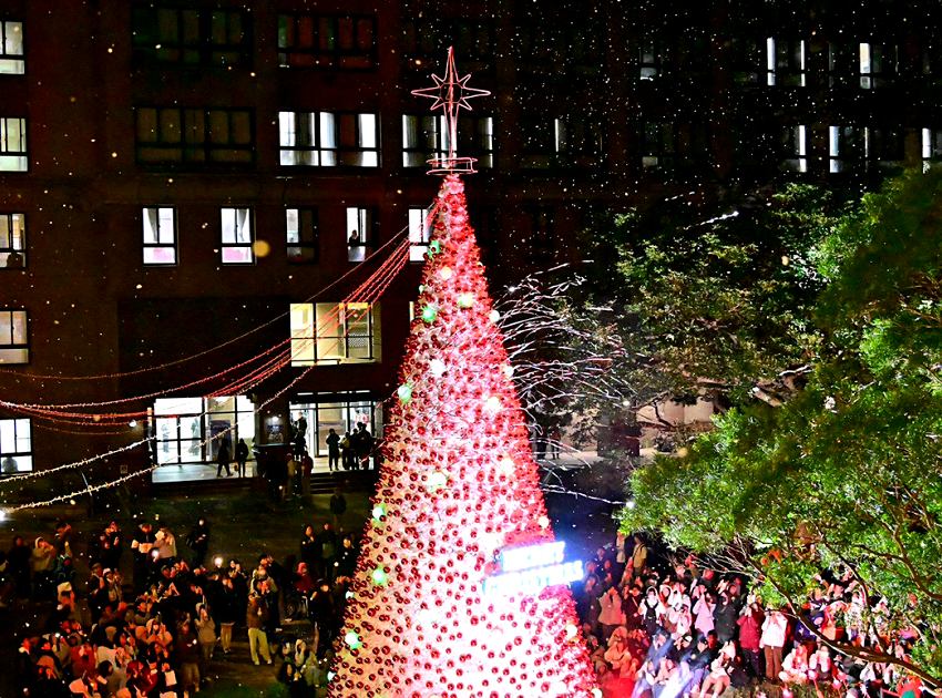 隨著點燈倒數結束,製雪機灑下片片雪花,搭配絢麗的紫色燈光與聖誕樹,將校園妝點得如夢似幻。