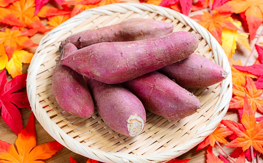 來自日本千葉縣的紅春香地瓜，外皮呈現鮮豔深紅色且口感綿密，售價為每袋178元。