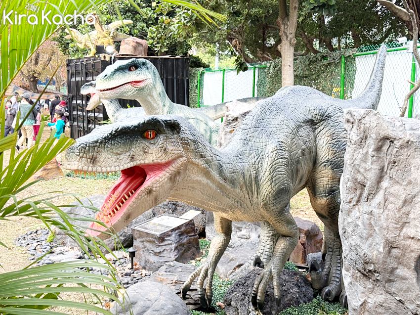 關渡恐龍展震撼登場，恐龍大復活關渡探險樂園集結70隻擬真恐龍，騎乘體驗與氣墊遊戲超好玩，3歲以下免費入場的台北親子景點。