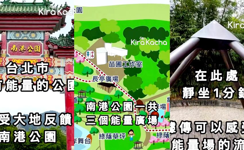全台能量最強!南港公園地穴能量驚人,3大療癒熱點、交通懶人包,免預約體驗世界級森林浴