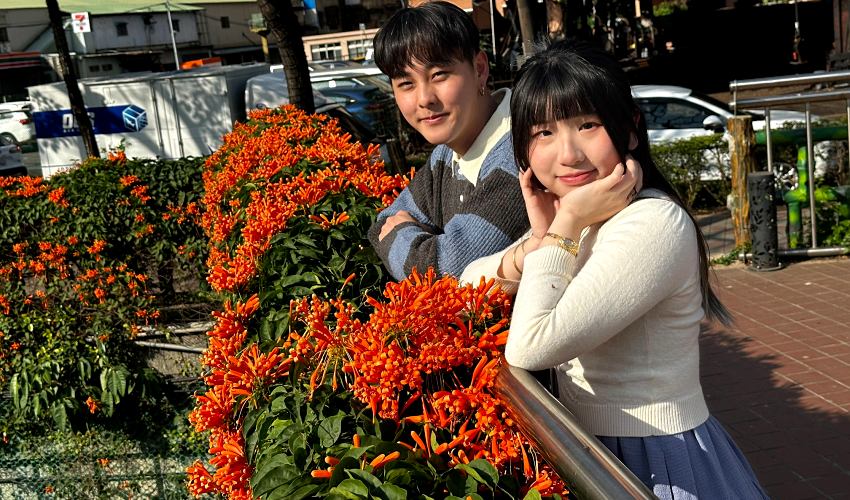 走春去哪裡？蘆洲鴨母港溝炮仗花海綻放中，捷運公車交通攻略看這裡