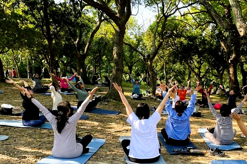 大安森林公園首創綠色處方，4月起推免費森林療癒與持杖健走防老抗衰