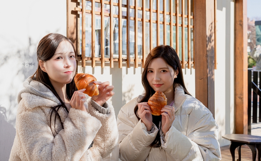 星宇航空開航釜山！「釜山女神」晧禎帶路，私藏景點與機票抽獎攻略