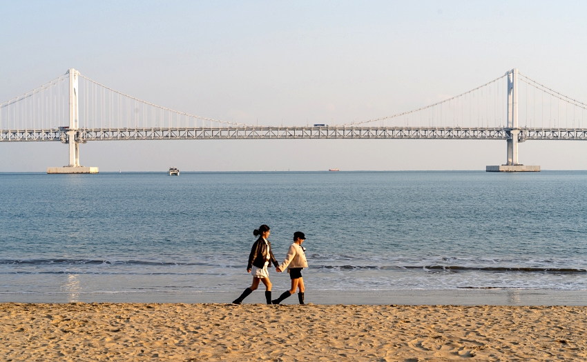 台北台中直飛釜山！星宇航空聯手韓籍啦啦隊，打造專屬在地旅遊行程