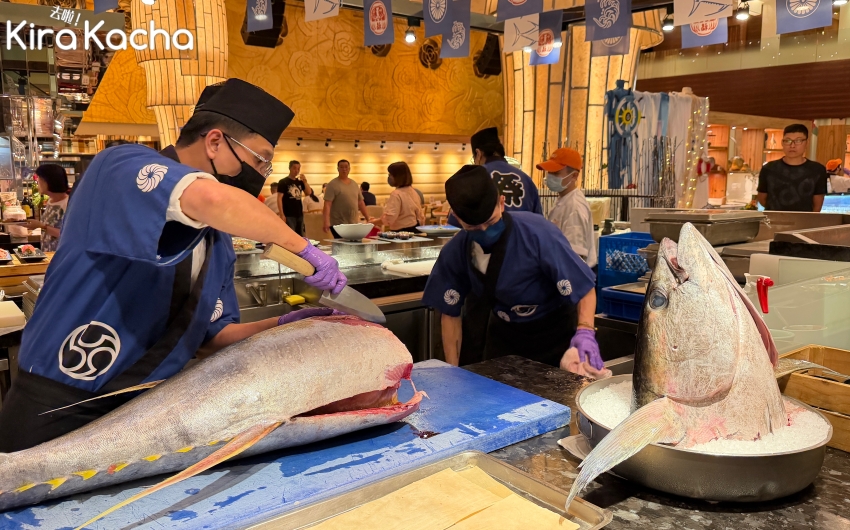 台北吃到飽推薦！豐FOOD海陸百匯鮪魚現切秀登場，多國料理與生食級干貝限時端上桌