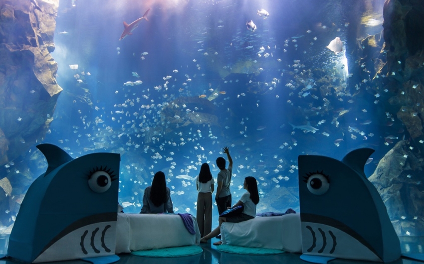 國泰飯店夏季旅展5月8日開跑!台北國泰萬怡自助餐抗漲回饋,最低360元起
