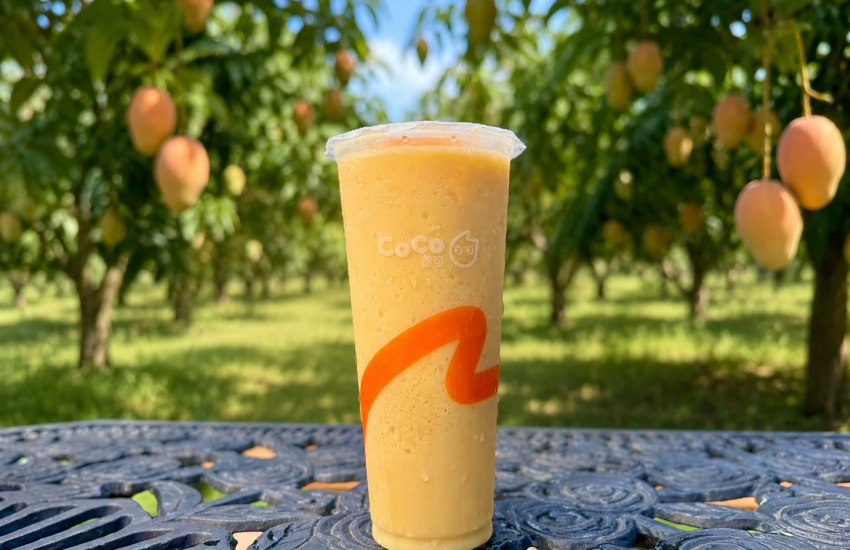 告別期末考與補班日:CoCo粉角奶茶第2杯0元,端午連假指定冰沙特價