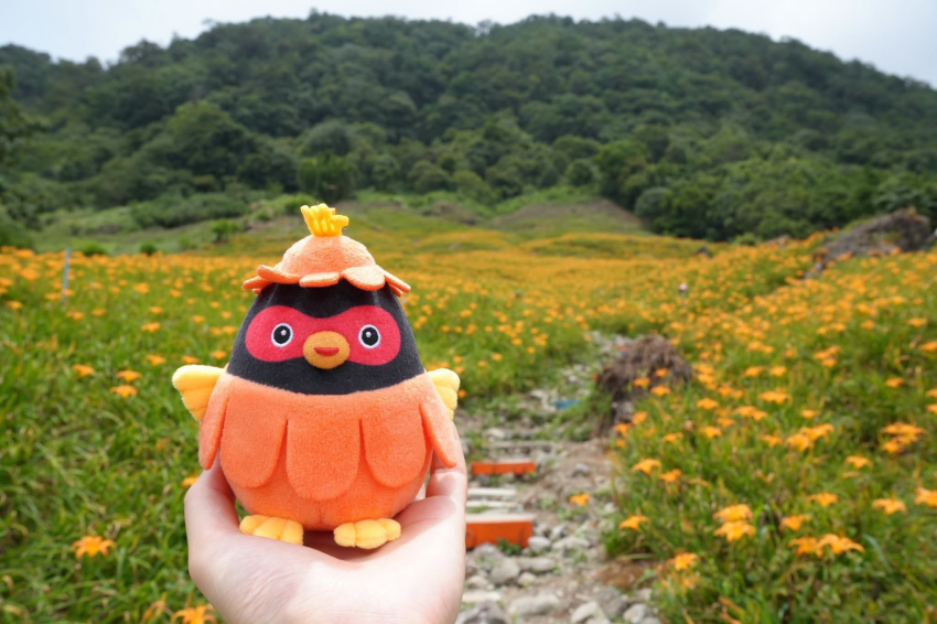 花蓮在地產地直送的秋季鶴岡文旦與特色農產品牌展售