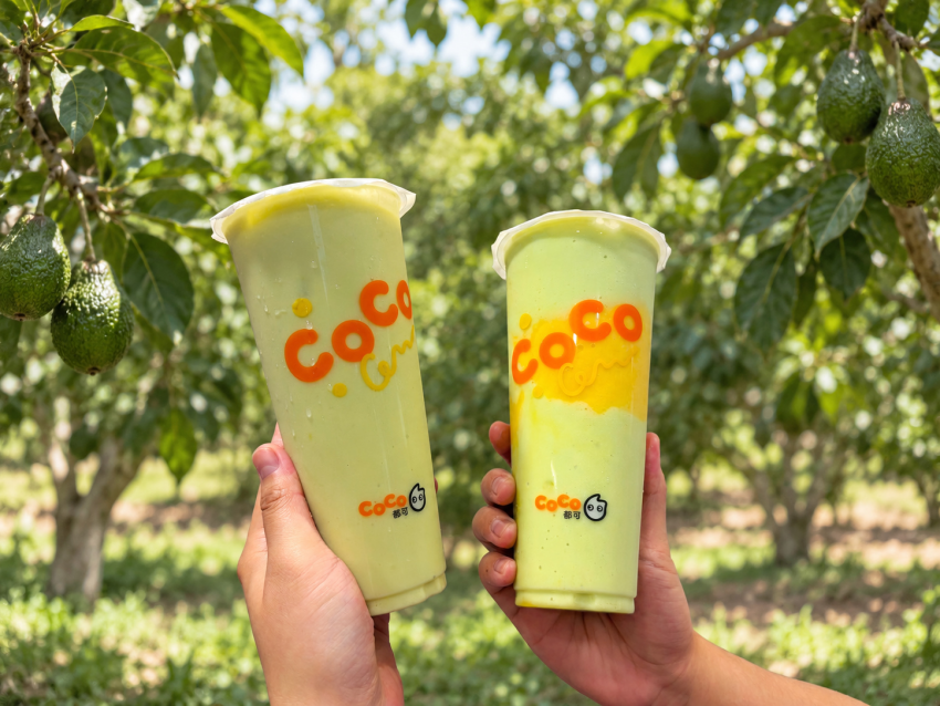 CoCo都可週三好友日限時推出紅柚雙響炮大杯買一送一優惠活動