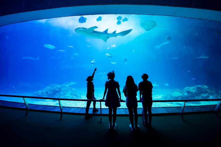 ・屏東海生館 夜宿 2027 ・夜宿海生館 預約 網址 ・海生館 踏水巡田 ・海生館 觀珊望海 ・屏東海生館 寒假旅遊 ・夜宿海生館 暑期工讀 ・墾丁 海生館 住宿推薦