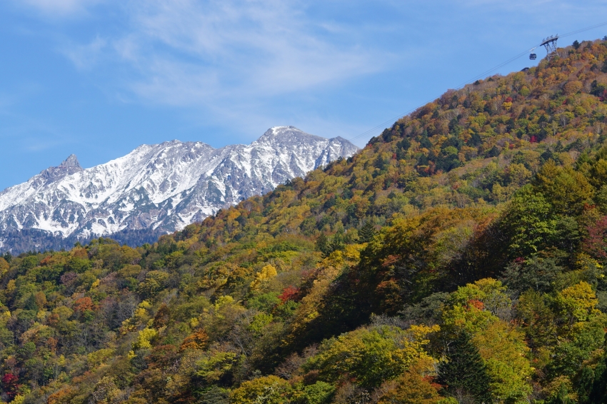 新穗高沿線景觀可見覆雪山稜與秋色山坡,纜車從高處林間經過。