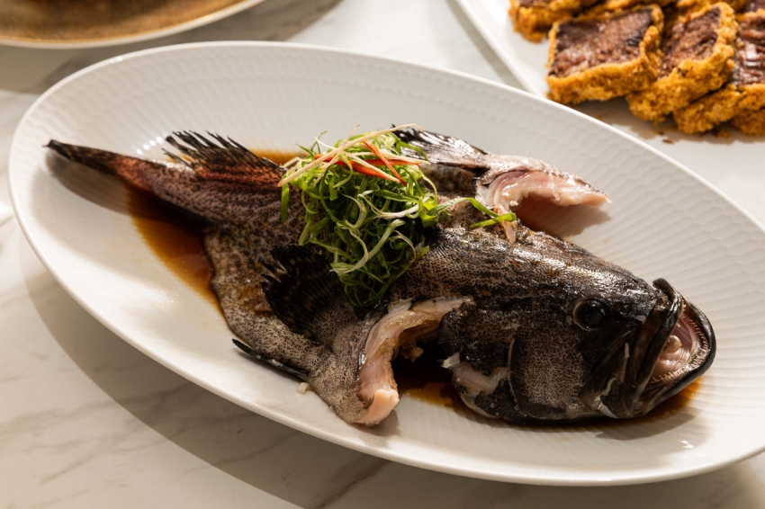 莆田PUTIEN清蒸龍虎斑搭配魚露醬汁與蔥絲。圖/莆田PUTIEN提供