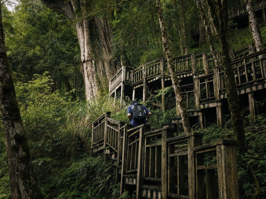 棲蘭神木園區小環線巡遊票券,包含接駁、入園、導覽與餐盒。圖/六福旅遊集團提供